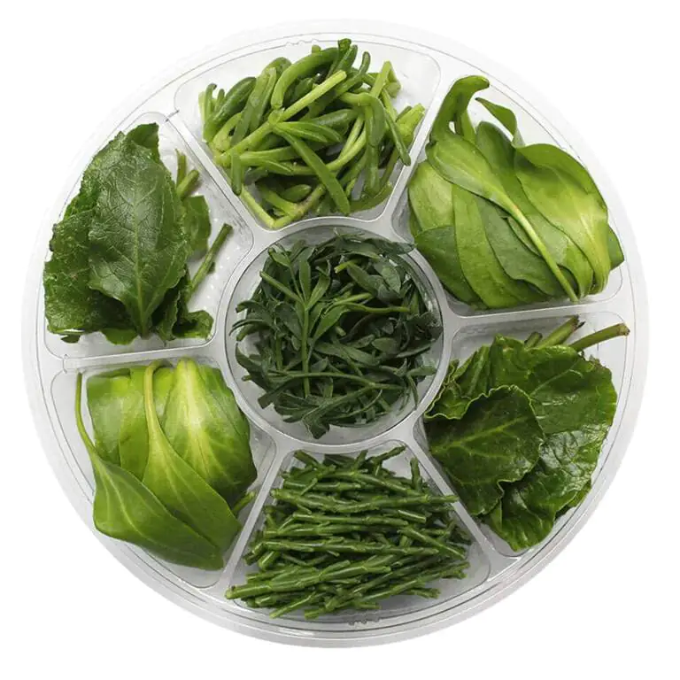 collins-nurtured-Sea Vegetables wheel.webp